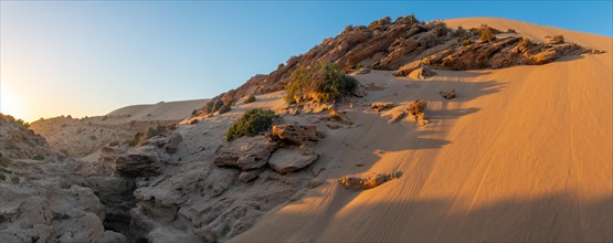 Desert landscape in North Africa at sunset. panoramic view