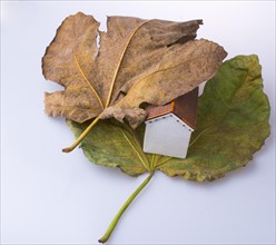 Little model house placed between two large Autumn leaves