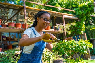 Black ethnic woman with braids gardener working in the nursery in the greenhouse happy cutting the bonsai