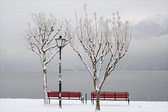 Bench on waterfront when it's snowing in winter