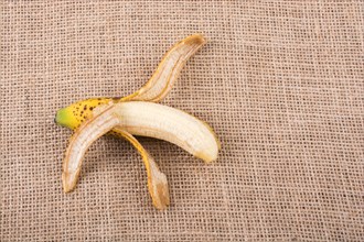 Single yellow freckled bananas on canvas texture