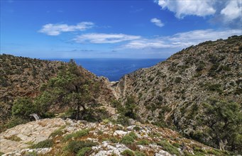Typical Greek or Cretan landscape
