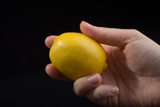 The fruit of Yellow Lemon is in Hand on black