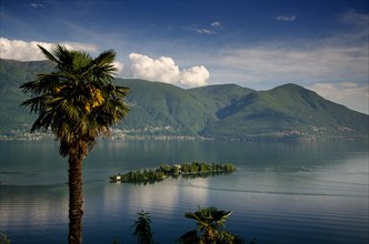 Brissago Islands on an Alpine Lake Maggiore with a Palm Tree and Mountain in Ticino