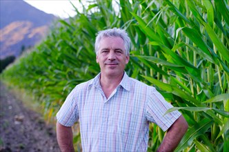 Happy Farmer Man with Grey Hair in His Corn Field