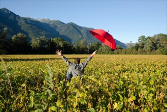 Happy and Elegant Business Man in the Bean Field with Arms Raised and Holding a Red Umbrella with Mountain and Clear Sky