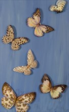 Artificial butterflies flying on a blue background