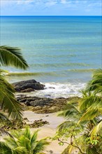 Tropical beach with vividly colored waters seen through the leaves of coconut trees in Serra Grande on the coast of Bahia