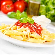 Penne Rigatoni Rigate Italian pasta in tomato sauce eat lunch dish on plate square in Stuttgart