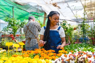 Happy black ethnic woman flower and plant nursery worker cutting plants in greenhouse