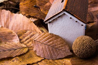 Little model house places on an Autumn background with leaves