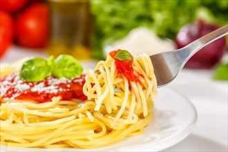 Eat spaghetti with fork Italian pasta lunch dish with tomato sauce in Stuttgart