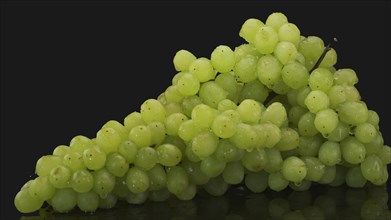 Bunch of white grapes with water drops on black background