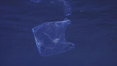 Disposable blue plastic bag floats under surface in blue water. Plastic bag thrown into sea drifts under surface of blue water in morning time