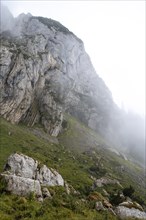 Rock Ascent in the Fog