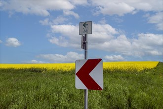 Sign for cyclists in front of a rapeseed field