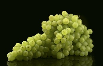 Bunch of white grapes with water drops on black background