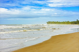 Sargi beach with coconut trees next to the sea and sand in Serra Grande on the coast of Bahia