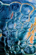 Oil bubbles inside water base form patterns