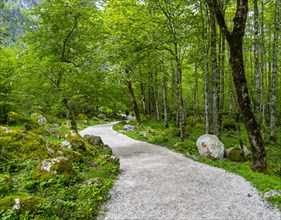Hiking trail to Obersee