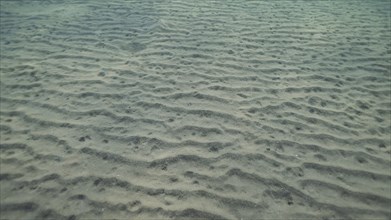 Sandy silty bottom with sunraiy in the morning time. Natural background from the underwater depth
