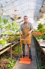 Portrait of senior gardener working in nursery inside flower greenhouse