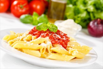 Penne Rigatoni Rigate Italian pasta in tomato sauce eat lunch dish on plate in Stuttgart