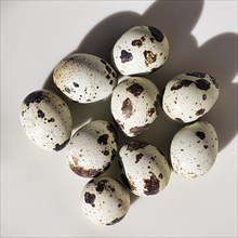 Nine quail eggs