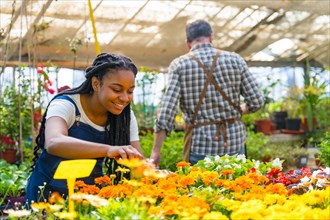 Black ethnic female flower nursery worker cutting the plants in the greenhouse