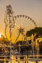 Water Fountain and Ferris Wheel