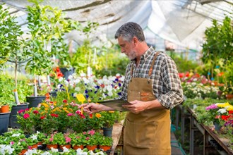 Gardener or florist man working in a nursery inside the greenhouse of plants and flowers