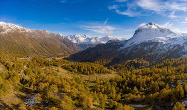 Aerial view over Val Poschiavo with its larch forests in autumn dress
