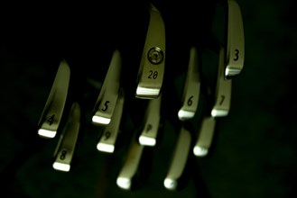 Modern Iron Golf Clubs Blades in Switzerland