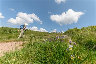 Hiker in the High Vosges in spring. Collectivite europeenne d'Alsace