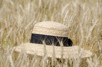 Straw Hat on the Wheat Field