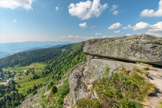 Granite rocks in the High Vosges in spring. Collectivite europeenne d'Alsace