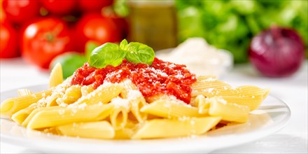 Penne Rigatoni Rigate Italian pasta in tomato sauce eat lunch dish on plate Panorama in Stuttgart