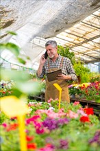 Elderly gardener working in a nursery inside the flower greenhouse on a job call