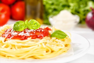 Eat spaghetti Italian pasta lunch dish with tomato sauce in Stuttgart