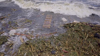 Close-up of floating debris has reached Black Sea beaches in Odessa