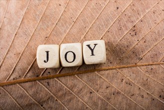 Text Message wording of the word JOY on a leaf