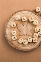 Letter cubes of made of wood around paper butterfly