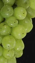 Close-up of bunch of white grapes with water drops
