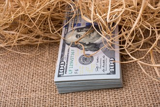 Banknote bundle of US dollar in a straw pile on canvas