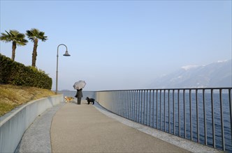 Woman Walking Her Dogs on Walkway on the Waterfront with an Umbrella in Switzerland
