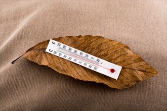 Little thermometer placed on a brown dry leaf