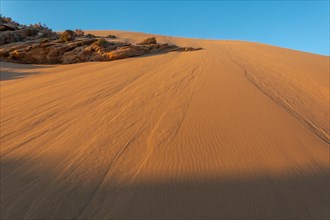 Desert landscape in North Africa at sunset. Tamri