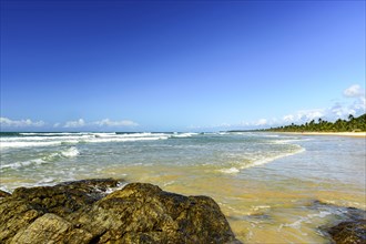 Pe de Serra beach surrounded by the sea and coconut trees in Serra Grande on the coast of Bahia