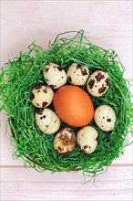 Various eggs in a green Easter nest