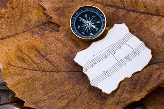 Compass an instrument and paper with musical notes placed on dry leaves